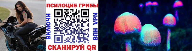 ОМГ ОМГ зеркало  где купить   Калининград  Галлюциногенные грибы Psilocybe 